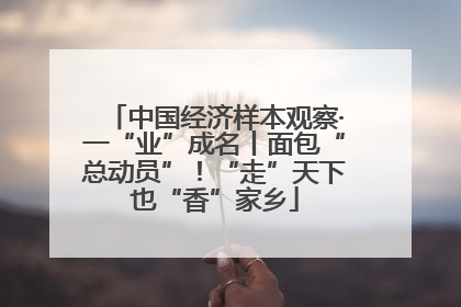 中国经济样本观察·一“业”成名丨面包“总动员”！“走”天下也“香”家乡