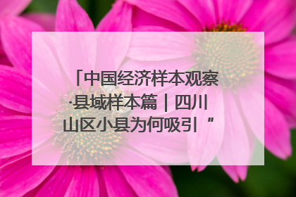 中国经济样本观察·县域样本篇｜四川山区小县为何吸引“村播”扎堆？