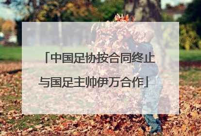 中国足协按合同终止与国足主帅伊万合作