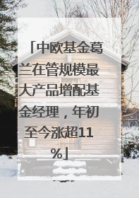 中欧基金葛兰在管规模最大产品增配基金经理，年初至今涨超11%