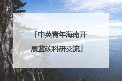 中英青年海南开展蓝碳科研交流