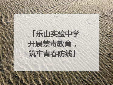 乐山实验中学开展禁毒教育，筑牢青春防线