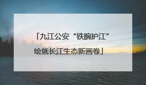 九江公安“铁腕护江”绘就长江生态新画卷