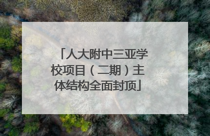人大附中三亚学校项目（二期）主体结构全面封顶