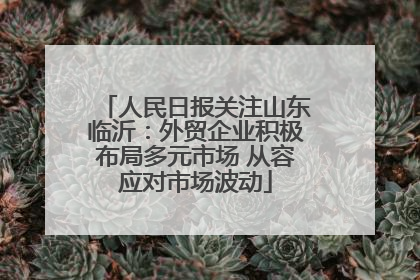 人民日报关注山东临沂：外贸企业积极布局多元市场 从容应对市场波动