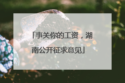 事关你的工资，湖南公开征求意见