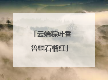 云端粽叶香 鲁疆石榴红