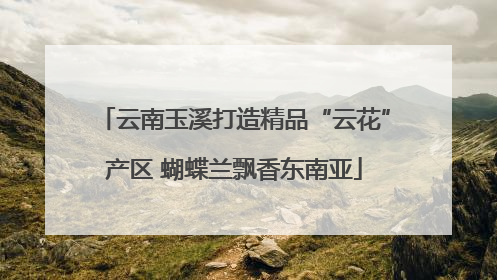 云南玉溪打造精品“云花”产区 蝴蝶兰飘香东南亚