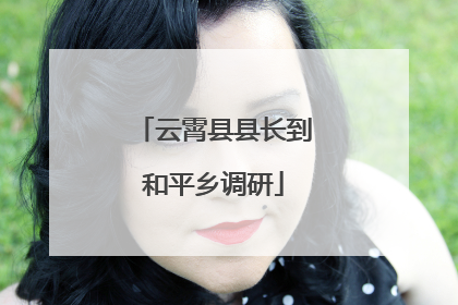 云霄县县长到和平乡调研