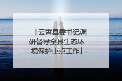 云霄县委书记调研督导全县生态环境保护重点工作