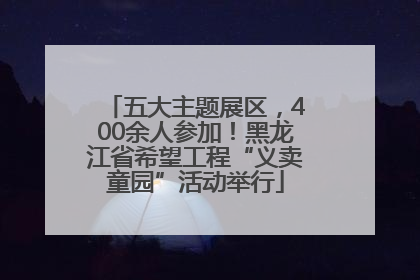 五大主题展区，400余人参加！黑龙江省希望工程“义卖童园”活动举行