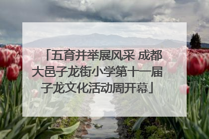 五育并举展风采 成都大邑子龙街小学第十一届子龙文化活动周开幕