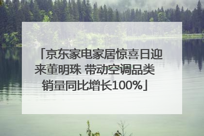 京东家电家居惊喜日迎来董明珠 带动空调品类销量同比增长100%