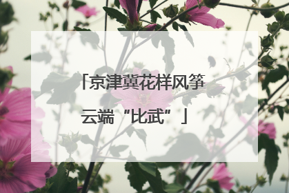 京津冀花样风筝云端“比武”