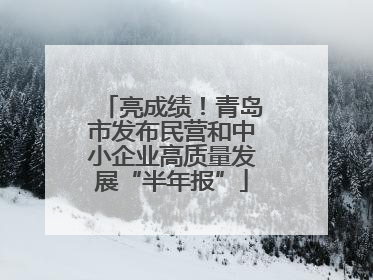 亮成绩！青岛市发布民营和中小企业高质量发展“半年报”
