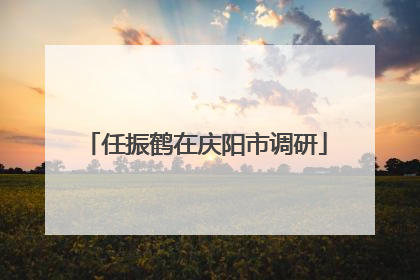 任振鹤在庆阳市调研