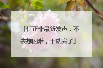 任正非最新发声：不去想困难，干就完了
