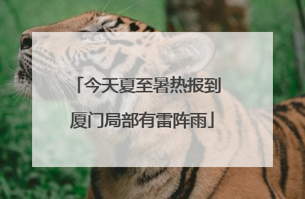 今天夏至暑热报到 厦门局部有雷阵雨