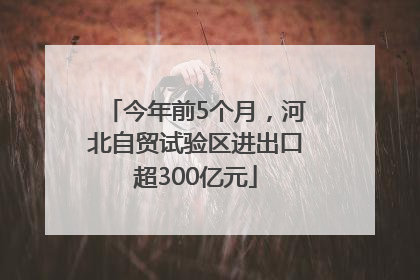 今年前5个月，河北自贸试验区进出口超300亿元