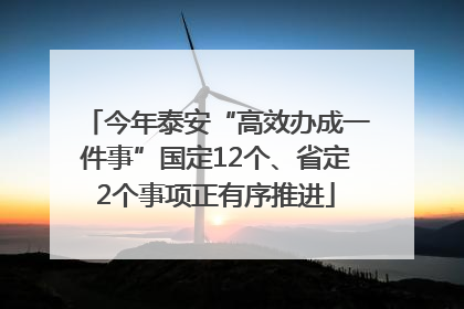 今年泰安“高效办成一件事”国定12个、省定2个事项正有序推进