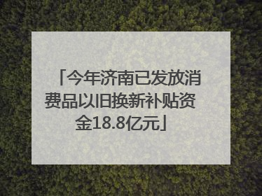 今年济南已发放消费品以旧换新补贴资金18.8亿元