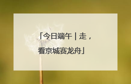 今日端午｜走，看京城赛龙舟