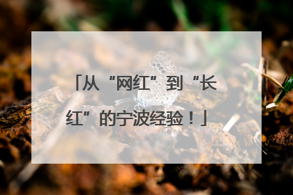 从“网红”到“长红”的宁波经验！
