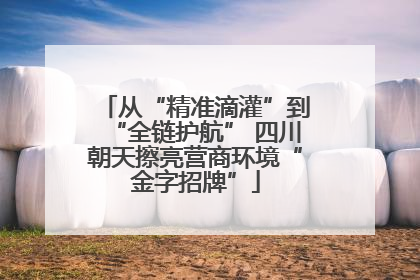 从“精准滴灌”到“全链护航” 四川朝天擦亮营商环境“金字招牌”