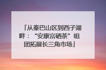 从秦巴山区到西子湖畔：“安康富硒茶”组团拓展长三角市场