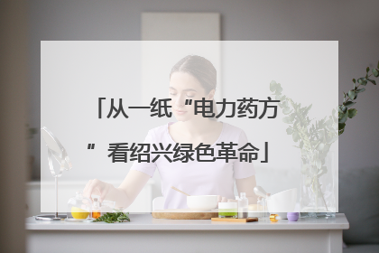 从一纸“电力药方”看绍兴绿色革命