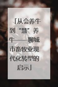 从会养牛到“慧”养牛——聊城市畜牧业现代化转型的启示