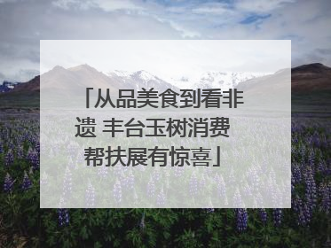 从品美食到看非遗 丰台玉树消费帮扶展有惊喜
