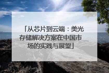 从芯片到云端：美光存储解决方案在中国市场的实践与展望