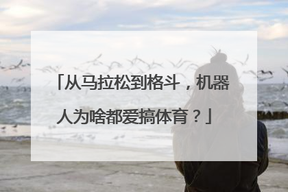 从马拉松到格斗，机器人为啥都爱搞体育？