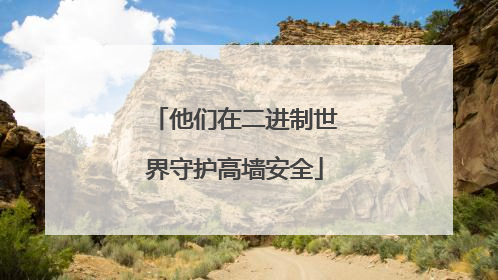他们在二进制世界守护高墙安全