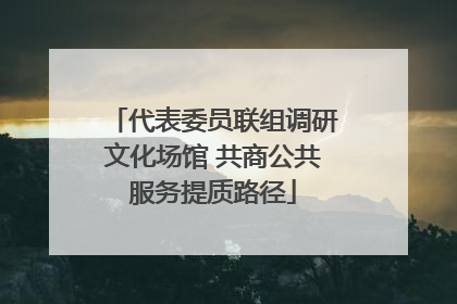 代表委员联组调研文化场馆 共商公共服务提质路径