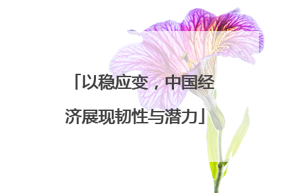 以稳应变，中国经济展现韧性与潜力