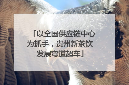 以全国供应链中心为抓手，贵州新茶饮发展弯道超车