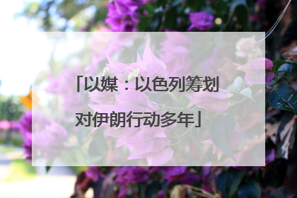 以媒：以色列筹划对伊朗行动多年