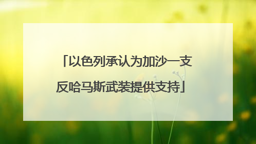 以色列承认为加沙一支反哈马斯武装提供支持