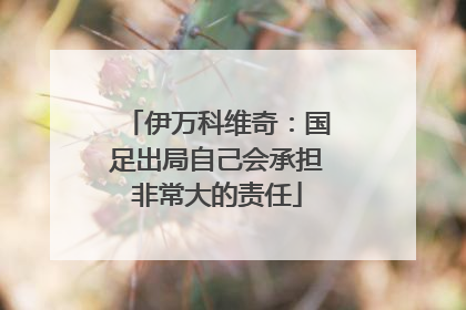 伊万科维奇：国足出局自己会承担非常大的责任