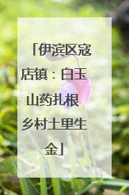 伊滨区寇店镇：白玉山药扎根 乡村土里生金