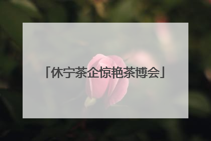 休宁茶企惊艳茶博会