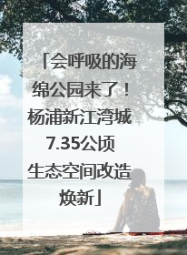 会呼吸的海绵公园来了！杨浦新江湾城7.35公顷生态空间改造焕新