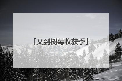 又到树莓收获季