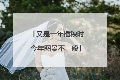 又是一年插秧时 今年图景不一般