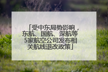 受中东局势影响，东航、国航、深航等5家航空公司发布相关航线退改政策