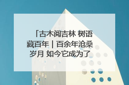 古木阅吉林 树语藏百年｜百余年沧桑岁月 如今它成为了“镇园之宝”