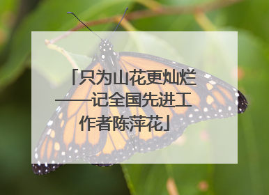 只为山花更灿烂——记全国先进工作者陈萍花
