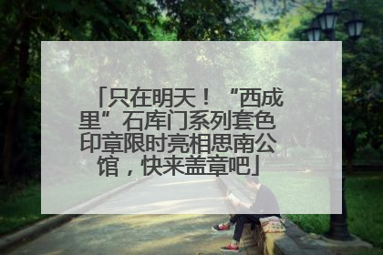 只在明天！“西成里”石库门系列套色印章限时亮相思南公馆，快来盖章吧
